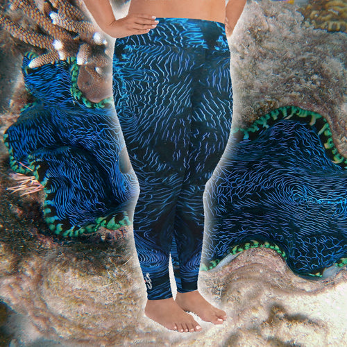Giant Clam Plus Size Leggings - Scuba Sisters Diving Apparel